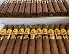 Bolivar Petit Belicoso 2009 Edizione Limitata